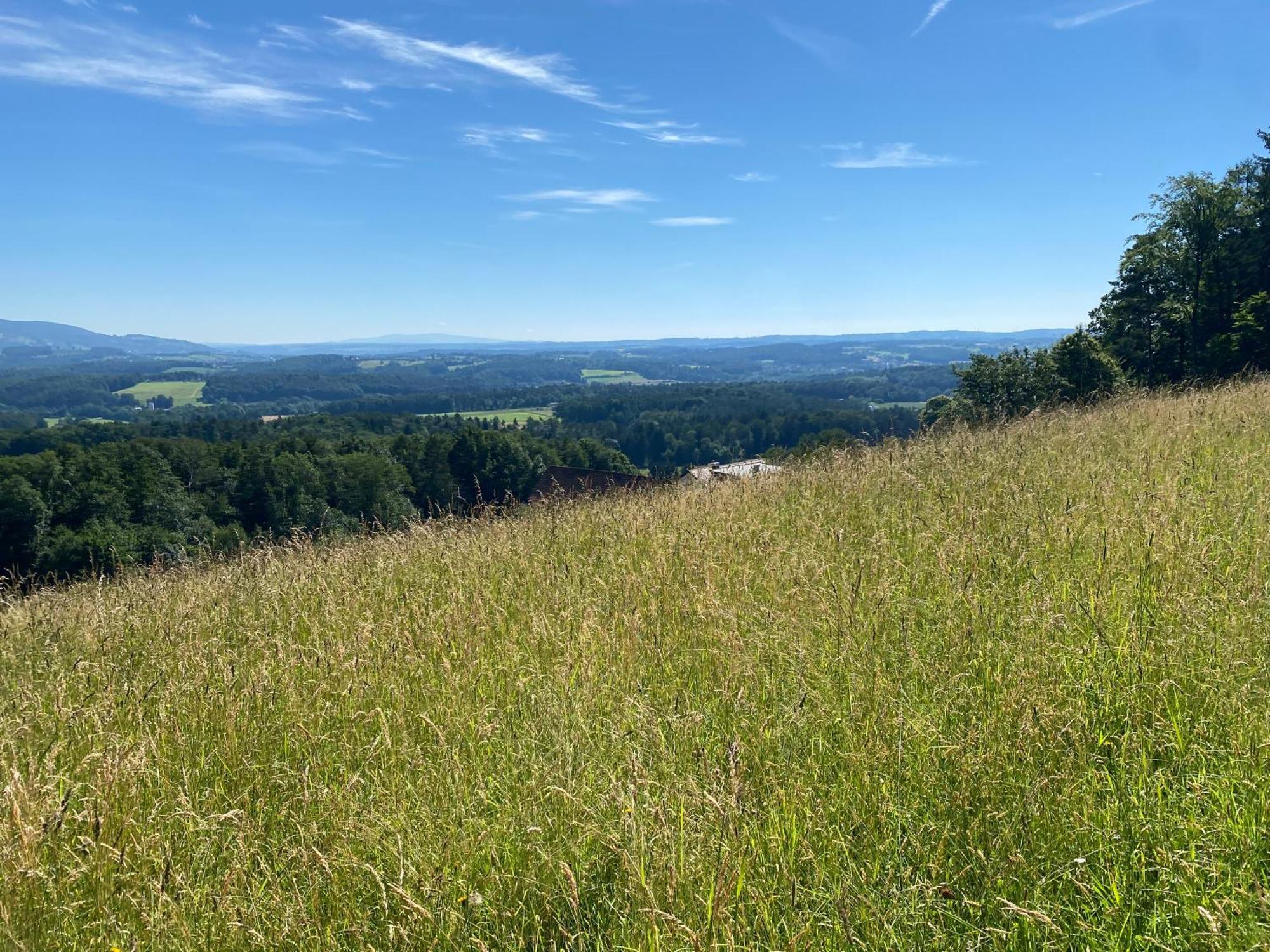 Wohnen Zwischen Golf Und Therme Bad Waltersdorf Exterior foto